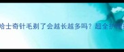 别急着剃哈士奇针毛剃了会越长越多吗超全护理指南来了