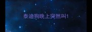 泰迪狗晚上突然叫