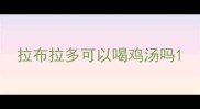 拉布拉多可以喝鸡汤吗