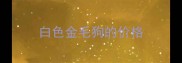 白色金毛狗的价格