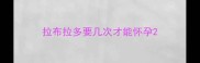 拉布拉多要几次才能怀孕