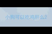 小狗可以吃鸡肝么