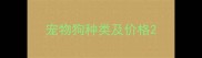 宠物狗种类及价格