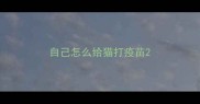 自己怎么给猫打疫苗