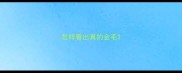 怎样看出真的金毛