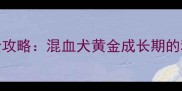 7个月巨贵串串养护全攻略混血犬黄金成长期的科学喂养与训练指南