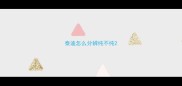 泰迪怎么分辨纯不纯