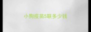 小狗疫苗5联多少钱