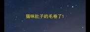 猫咪肚子的毛卷了