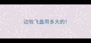 边牧飞盘用多大的