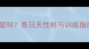 泰迪犬为什么总爱叫泰日天性格与训练指南附实操干货