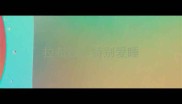 拉布拉多特别爱睡