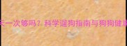 狗狗每天一次够吗科学遛狗指南与狗狗健康习惯全