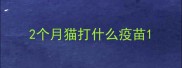 2个月猫打什么疫苗