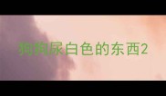 狗狗尿白色的东西