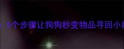 金毛寻回训练全攻略5个步骤让狗狗秒变物品寻回小能手附视频演示