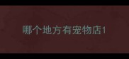 哪个地方有宠物店