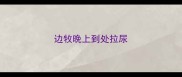 边牧晚上到处拉尿