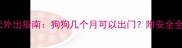 幼犬外出指南狗狗几个月可以出门附安全全攻略