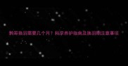 鹩哥换羽需要几个月科学养护指南及换羽期注意事项