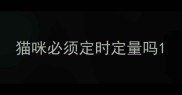 猫咪必须定时定量吗