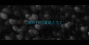 猫咪打呼噜是因为