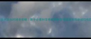 拉布拉多犬驱虫时间全攻略新手必看科学养宠指南宠物健康养狗必读拉布拉多养护