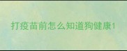 打疫苗前怎么知道狗健康