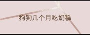 狗狗几个月吃奶糕
