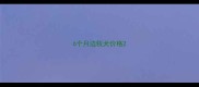 6个月边牧犬价格