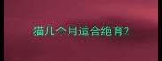 猫几个月适合绝育