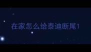 在家怎么给泰迪断尾
