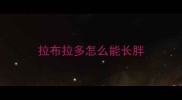 拉布拉多怎么能长胖
