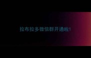 拉布拉多微信群开通啦
