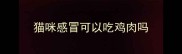 猫咪感冒可以吃鸡肉吗