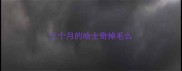 三个月的哈士奇掉毛么