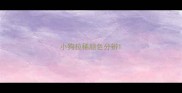 小狗拉稀颜色分辨