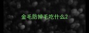 金毛防掉毛吃什么