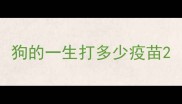 狗的一生打多少疫苗