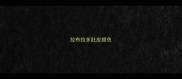 拉布拉多肚皮颜色