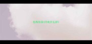 拉布拉多2月吃什么好