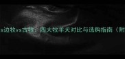德牧vs苏牧vs边牧vs古牧四大牧羊犬对比与选购指南附饲养要点