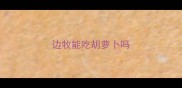 边牧能吃胡萝卜吗