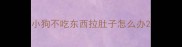 小狗不吃东西拉肚子怎么办