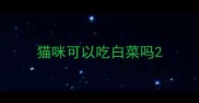 猫咪可以吃白菜吗