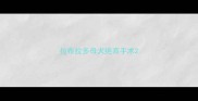拉布拉多母犬绝育手术