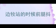 边牧站的时候前腿抖