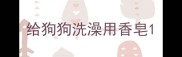 给狗狗洗澡用香皂