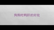 狗狗吃鸭肝的好处