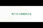 两个月小狗喂养方法
